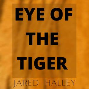 Eye of the Tiger在线观看免费国语高清